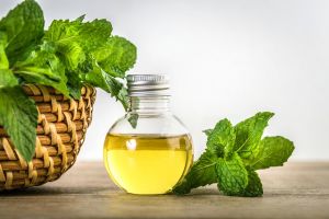 薄荷精油對頭髮的作用