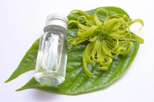 依蘭精油的使用方法