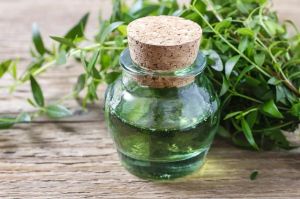 桃金娘精油的使用方法