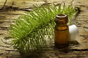 馬尾草精油的使用方法