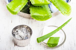 蘆薈治療曬傷：有效嗎？
