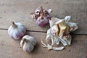 大蒜和歐芹有什麼好處？