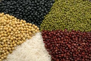 d-肌醇含量高的食物