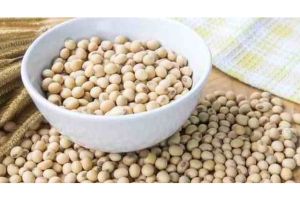 含有雌激素和黃體酮的食物或草藥