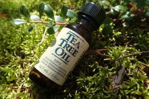 茶樹油的使用方法（用於頭皮乾燥）