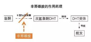 新生植髮：這些人不適合吃非那雄胺!