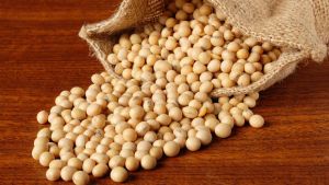 黃豆含生物素嗎？