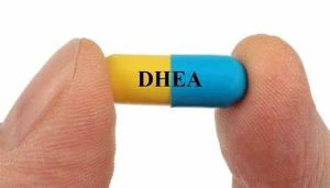 脱氫表雄酮(DHEA)的來源