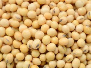 大豆對圍絕經期婦女的好處