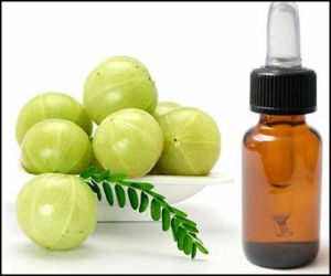 Amla對頭髮的好處