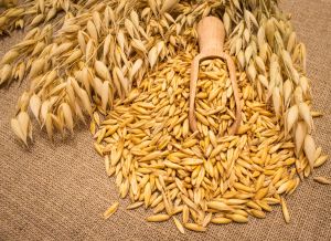 燕麥對皮膚的美容作用