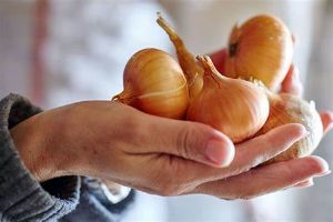 洋葱對皮膚的功效和作用