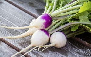 蘿蔔的功效和作用