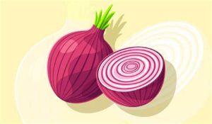 洋葱汁對頭髮再生和扭轉白髮的好處