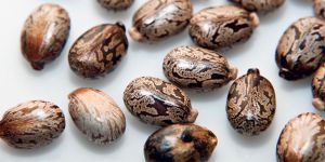 蓖麻油是否有效：瞭解真相