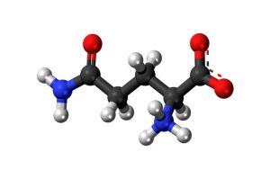 谷氨醯胺的好處