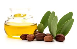 油性頭髮怎麼改善：霍霍巴油用於油性頭髮