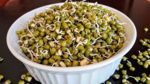 【組圖】綠豆芽對健康和美容的好處