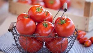 番茄對頭髮的美容益處