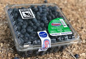 藍莓對頭髮的美容益處