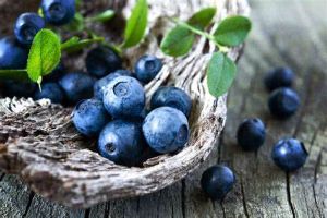 吃太多藍莓的8大副作用