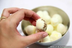 鵪鶉蛋對頭髮的美容作用