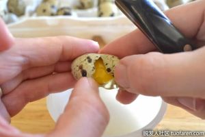 【組圖】鵪鶉蛋對皮膚的美容作用