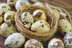 【組圖】鵪鶉蛋對健康和美容的好處