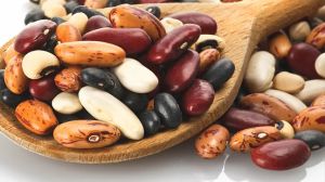 豆類的氨基酸概況