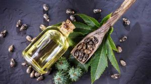 蓖麻油的副作用有哪些