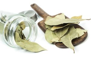 月桂葉用於頭髮的好處