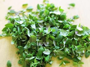 百里香和牛至-有什麼區別