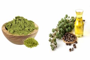 蓖麻油+指甲花促進頭髮生長