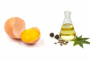 蓖麻油雞蛋髮膜治療脱髮