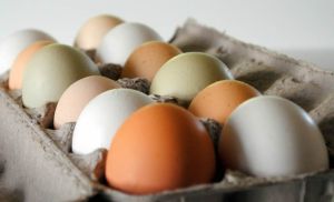 雞蛋的哪一部分對頭髮很重要