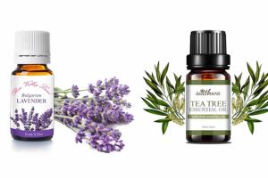 薰衣草精油+茶樹油髮膜