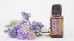 薰衣草精油的6點額外好處