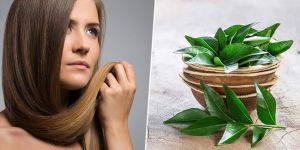 咖喱葉頭髮生長髮膜