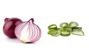 洋葱汁和蘆薈促進頭髮生長