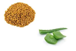 葫蘆巴籽和蘆薈控制頭髮脱落