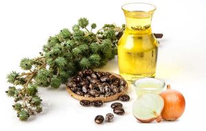 薰衣草/蓖麻油和洋葱汁治療脱髮