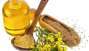 使用茴香籽油對頭髮有什麼好處