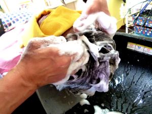 男士洗髮水的選擇方法