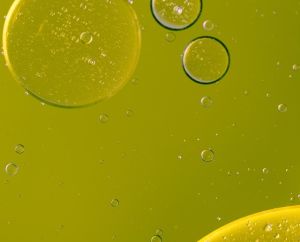 洗髮護髮成分：表面活性劑危險嗎？記住分辨成分的方法吧！