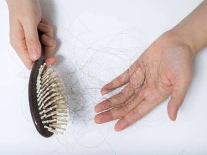 我的掉髮正常嗎？掉髮怎麼辦：3型態成因不同