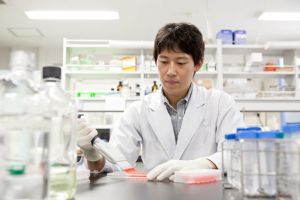 小鼠拔毛竟再生 未來造福禿頭？