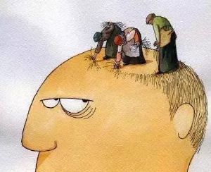 每天脱髮量約100根?正常啦