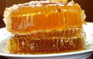 研究：蜂膠有助促進毛髮生長