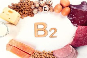 維生素B2是什麼？