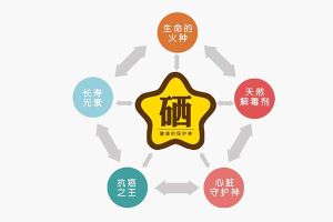 礦物質硒是什麼？